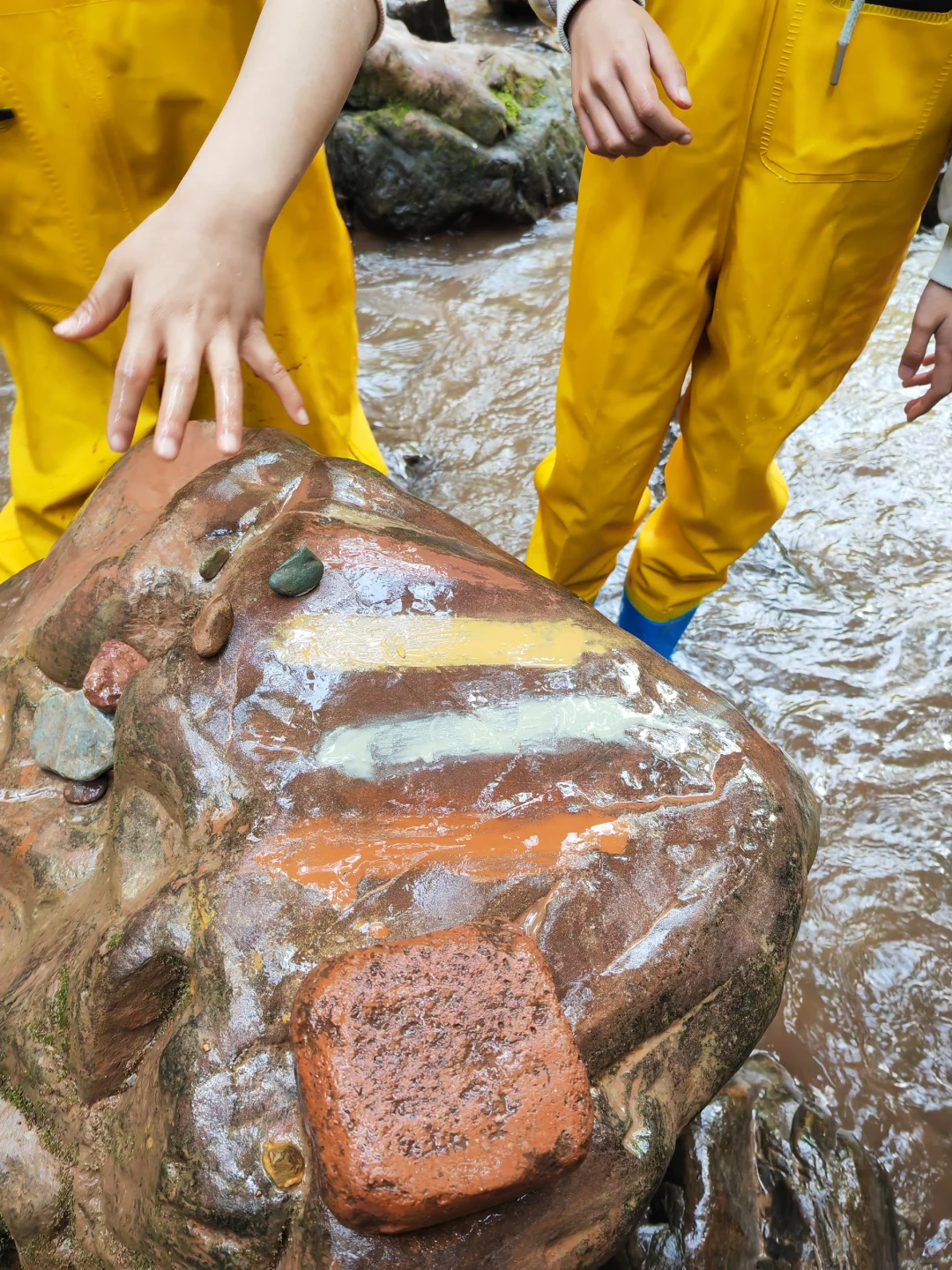 版纳回来说点大实话!