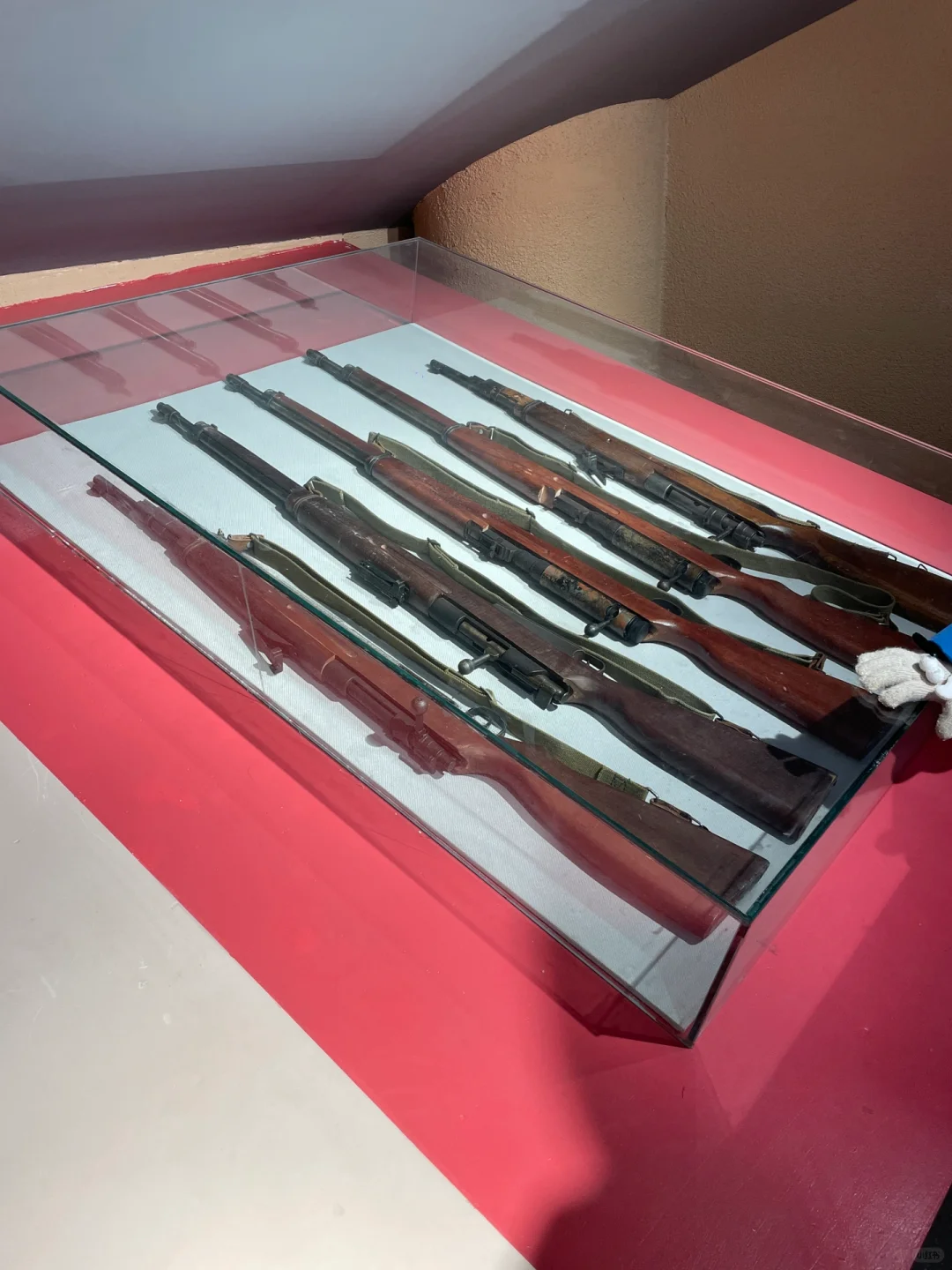 石家庄过年周边游‼️遛娃免费爬山萌宠乐园