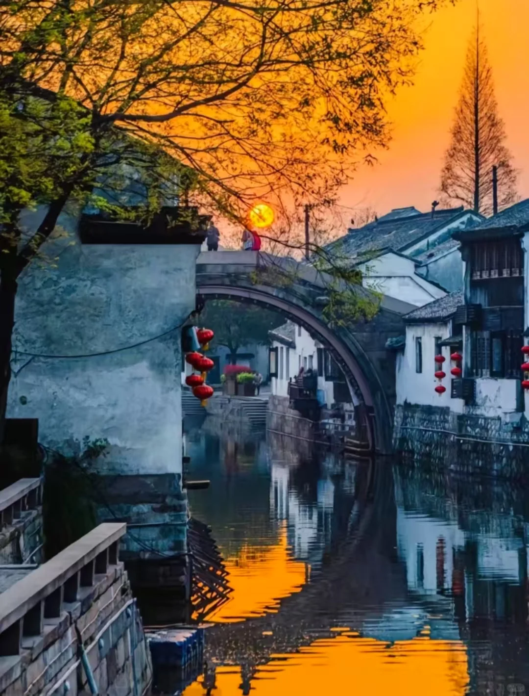 邯郸春节去乌镇南京苏沪杭4日游，旅游攻略