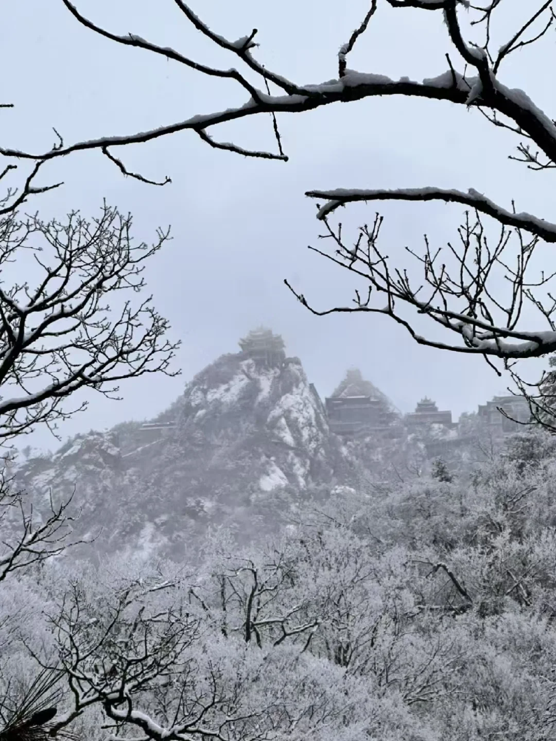 2.2号老君山实况，无语了家人们，趁早出发
