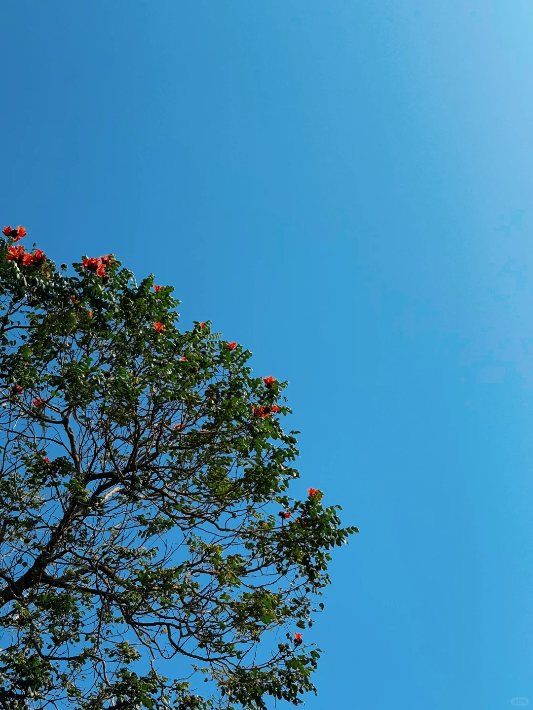 登顶高榜山 | 在人生的道路上，要向前向前！