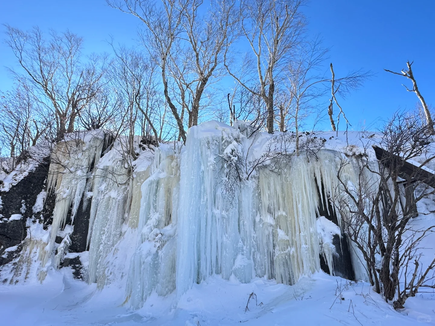 一定要看完这篇再去长白山❗️🏔️