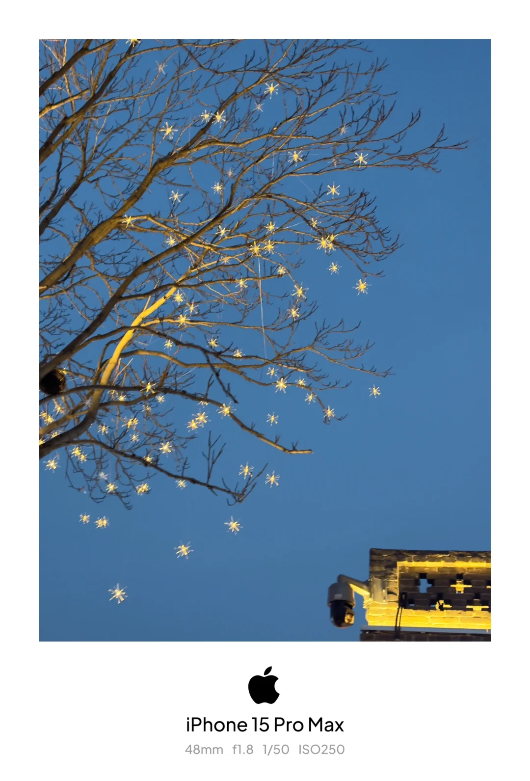 邯郸道～很邯郸！