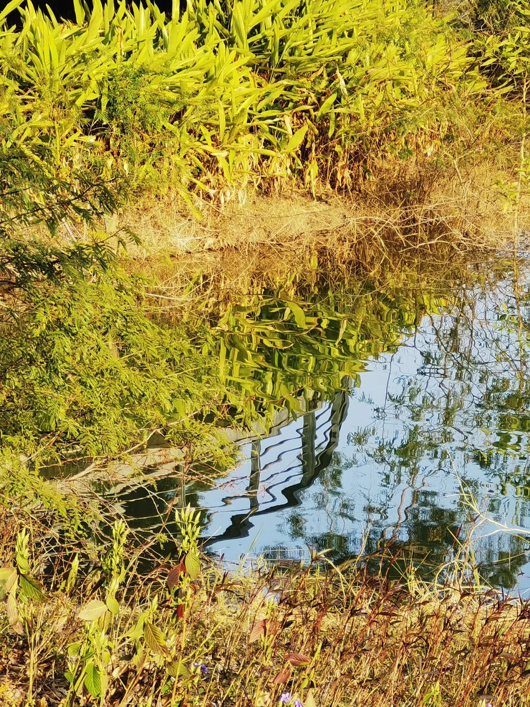 广东中山国家森林公园 — 金钟湖景区