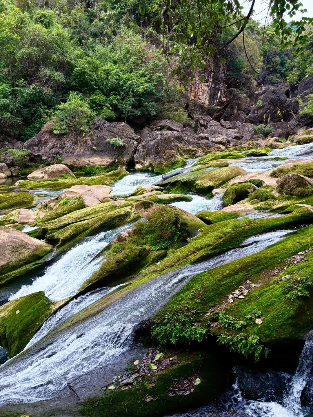 贵州•黄果树瀑布，会惩罚每一个不做攻略的人