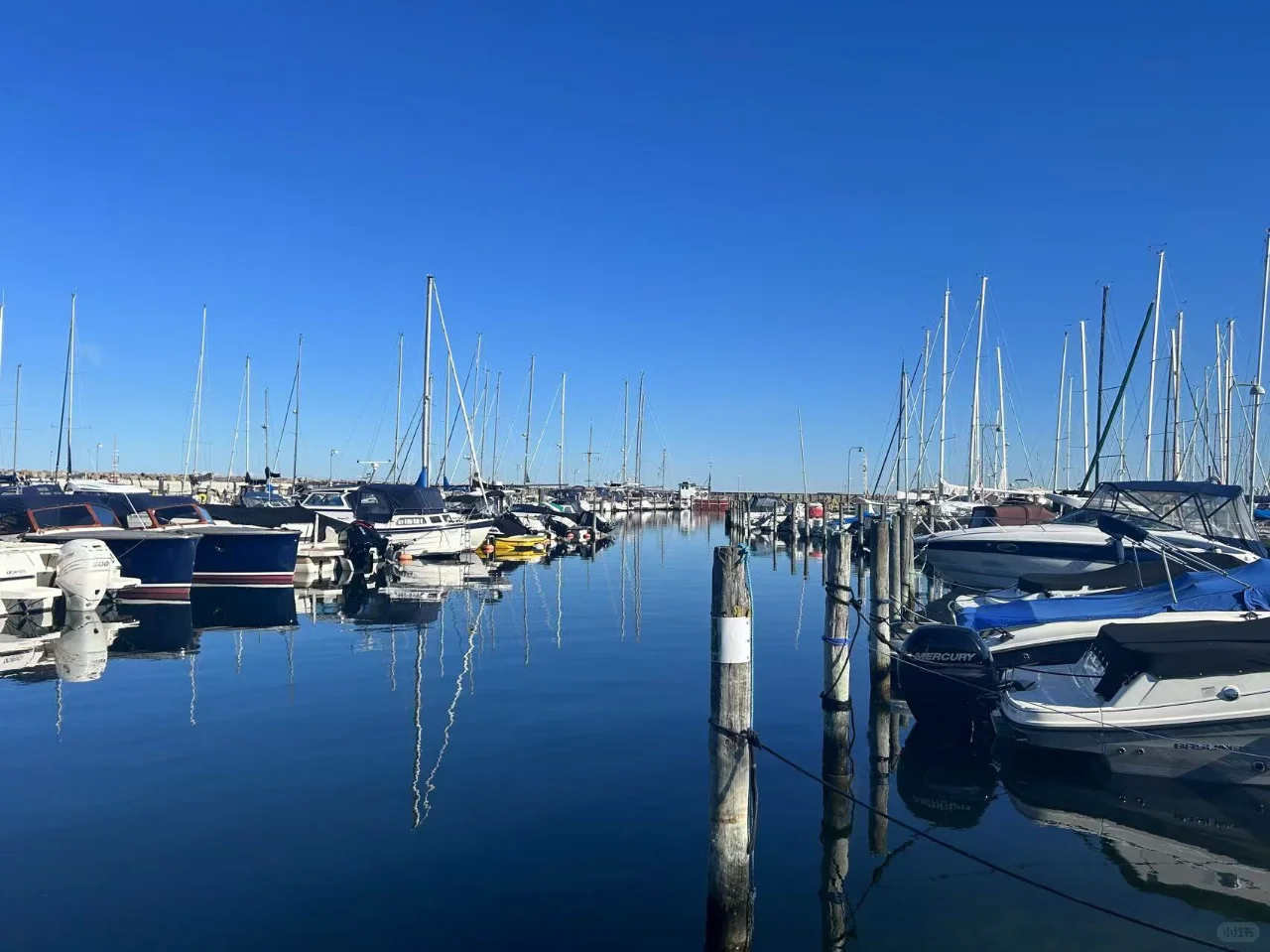 丹麦游记-2024.09