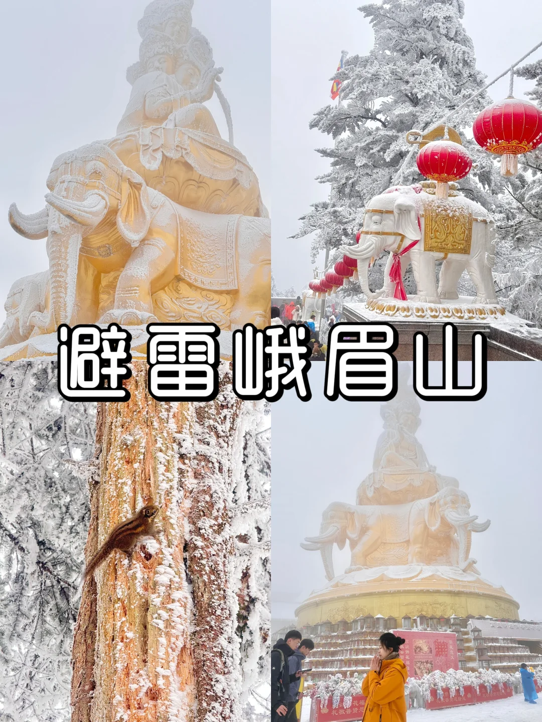 2月3日初六峨眉山避雷……