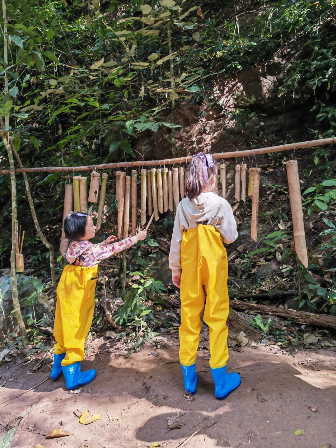 版纳回来说点大实话!