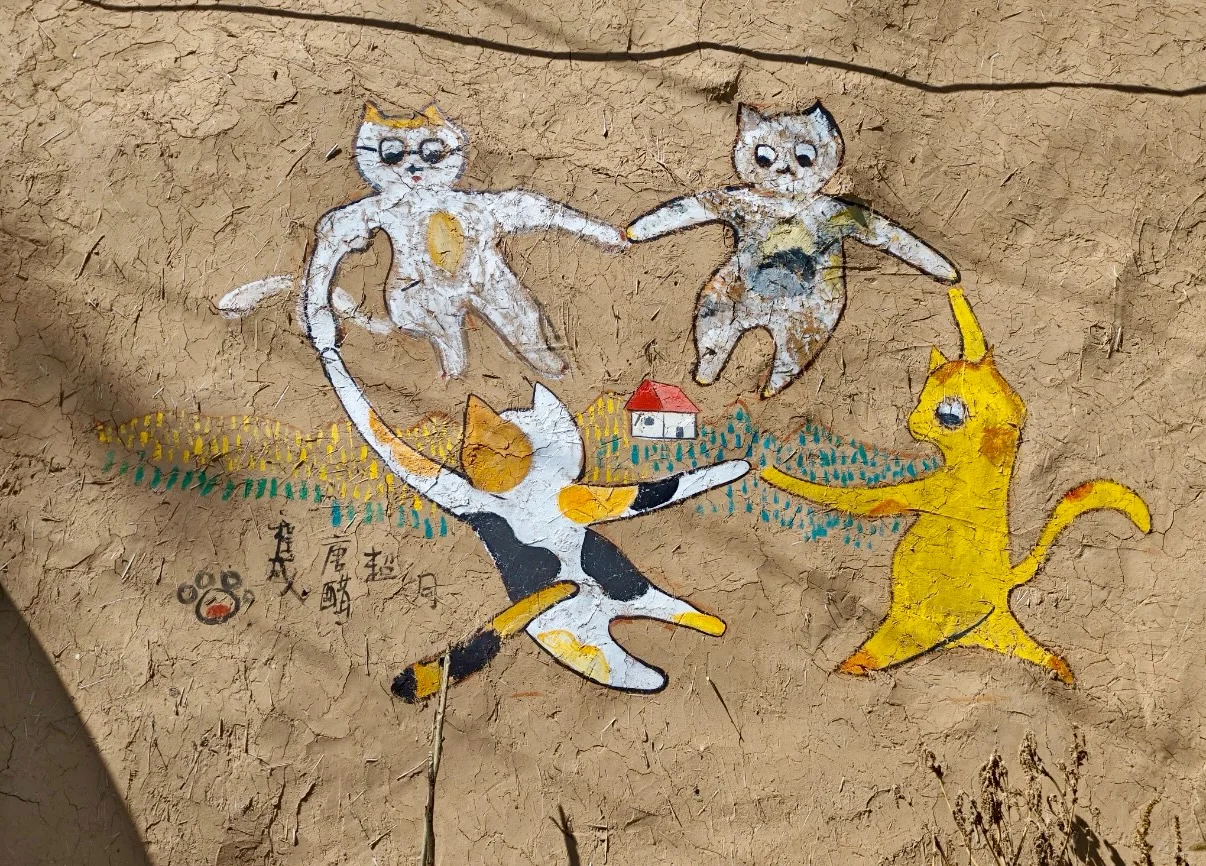 保定 | 阜平猫村「到有猫的地方去」🐱