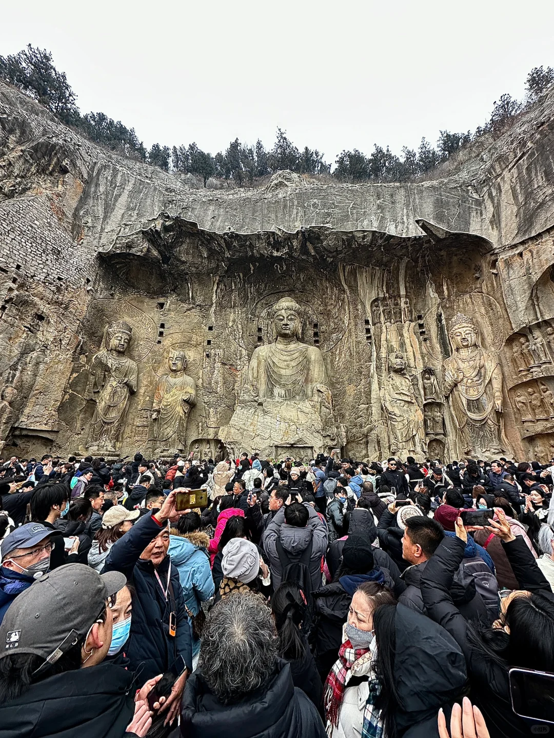 1.31日大年初三龙门石窟实况！劝退！！