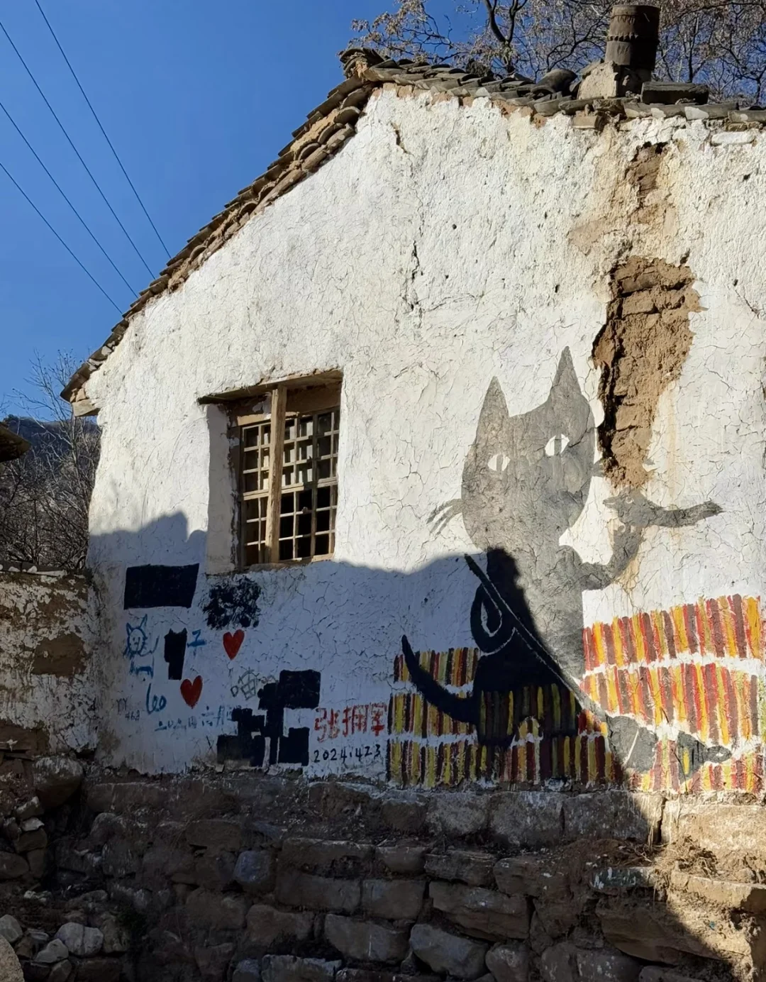 保定 | 阜平猫村「到有猫的地方去」🐱
