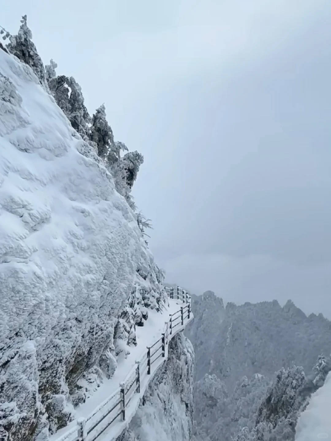 2.2号老君山实况，无语了家人们，趁早出发