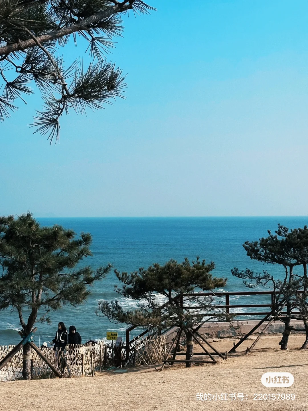 不是青岛,是“小济州岛”!附超详细游玩攻略