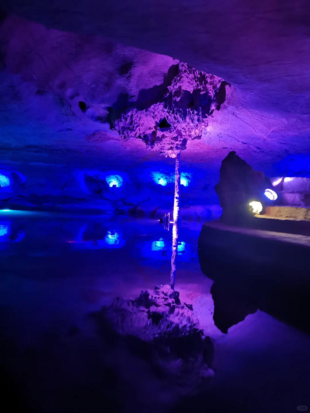 咱也是把桐庐的心动乐园逛遍了哈