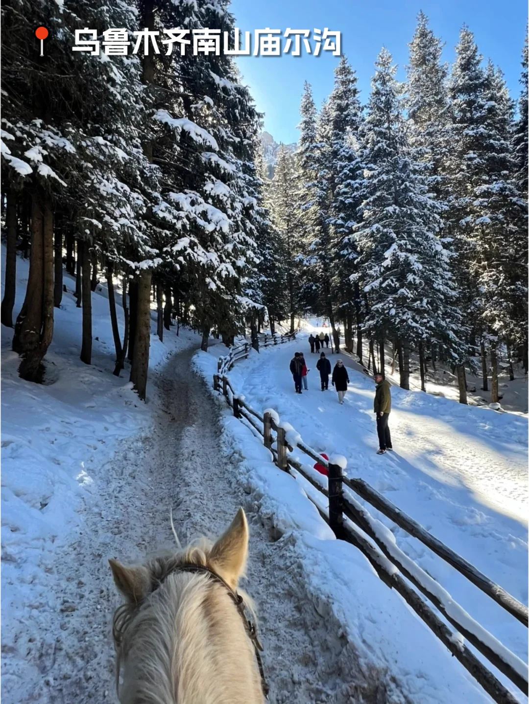 乌市周边游｜藏在庙尔沟的絶美蓝冰瀑布！