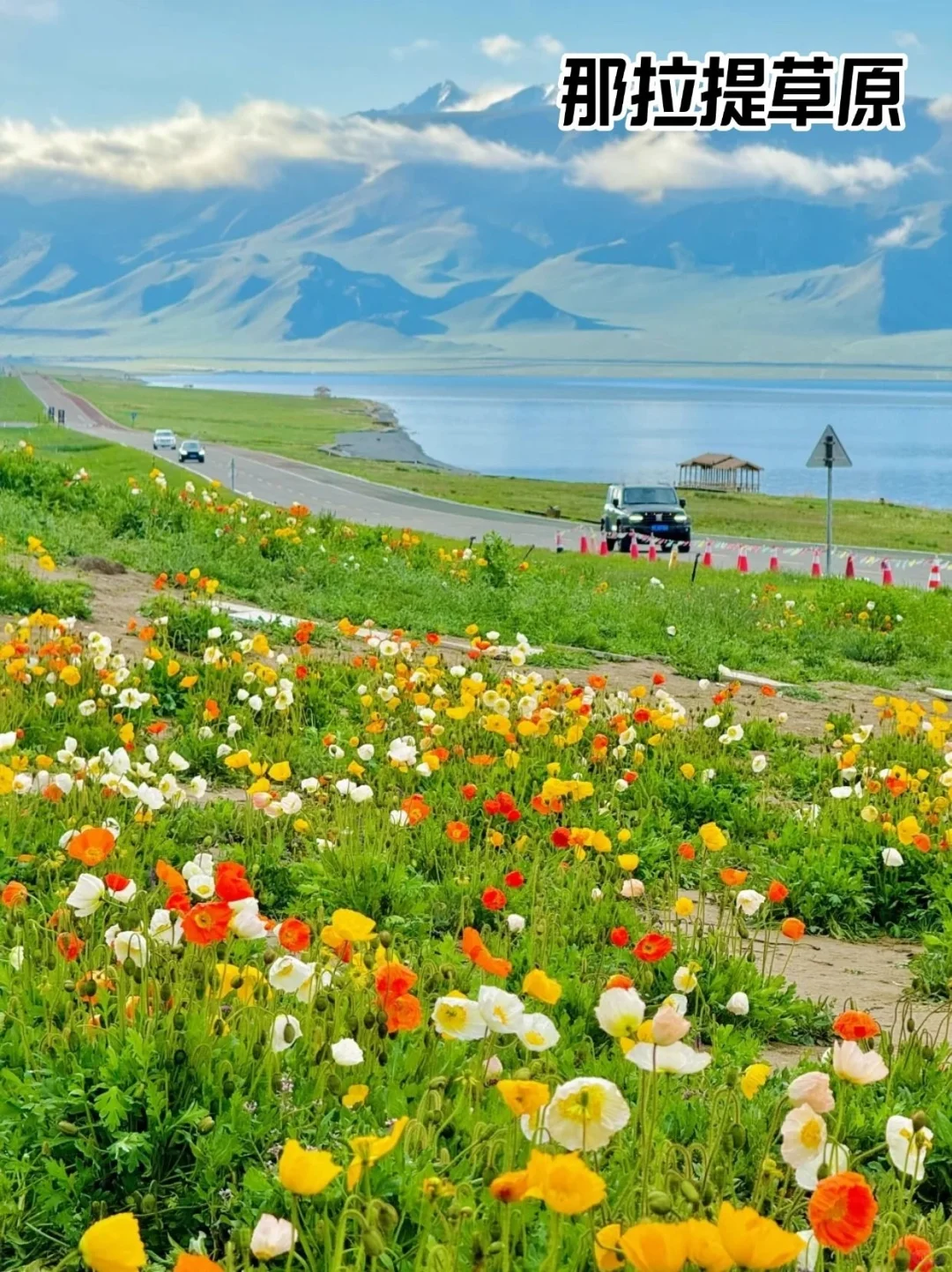 假如有段位，新疆哪个景点才是你心中的第一