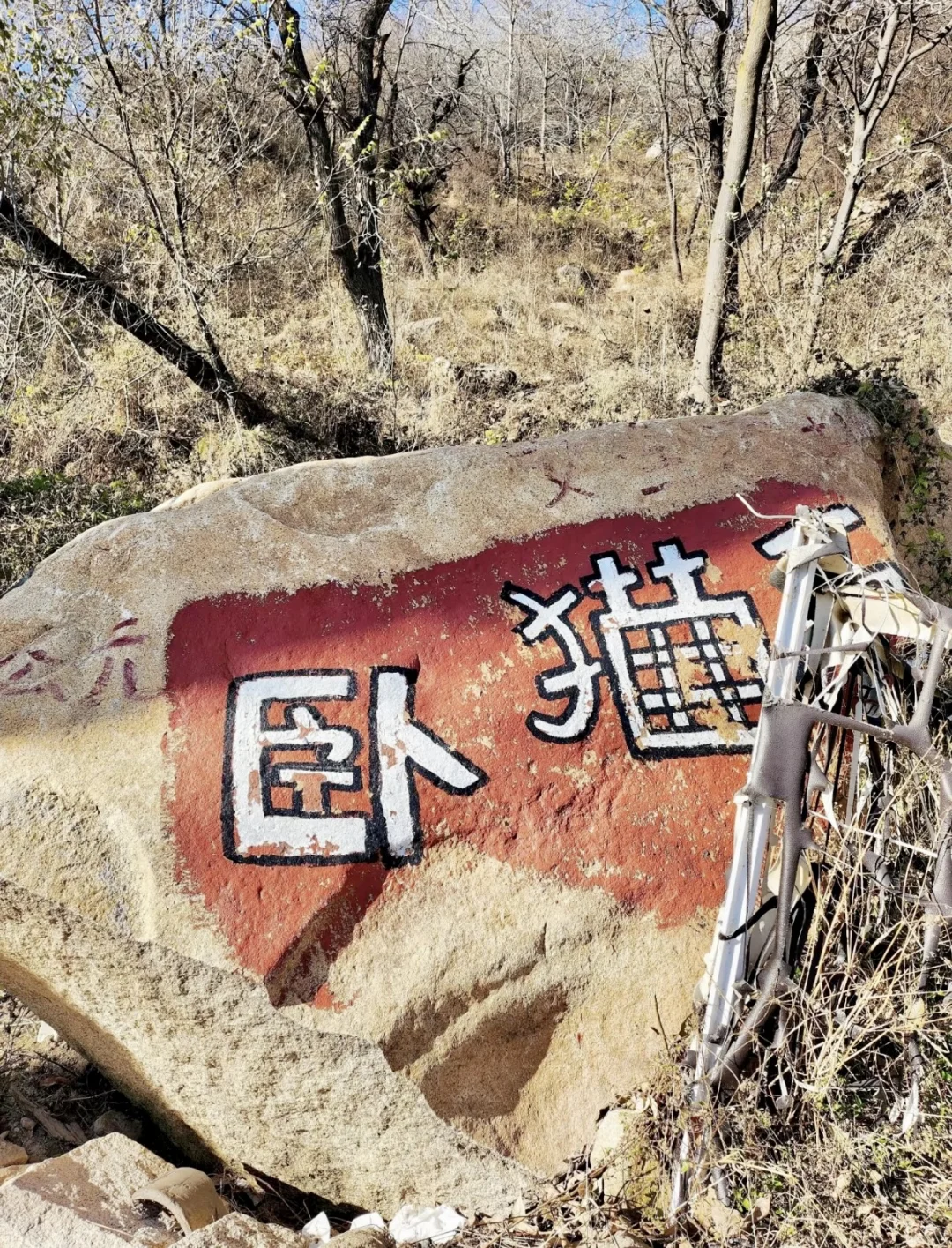 保定 | 阜平猫村「到有猫的地方去」🐱
