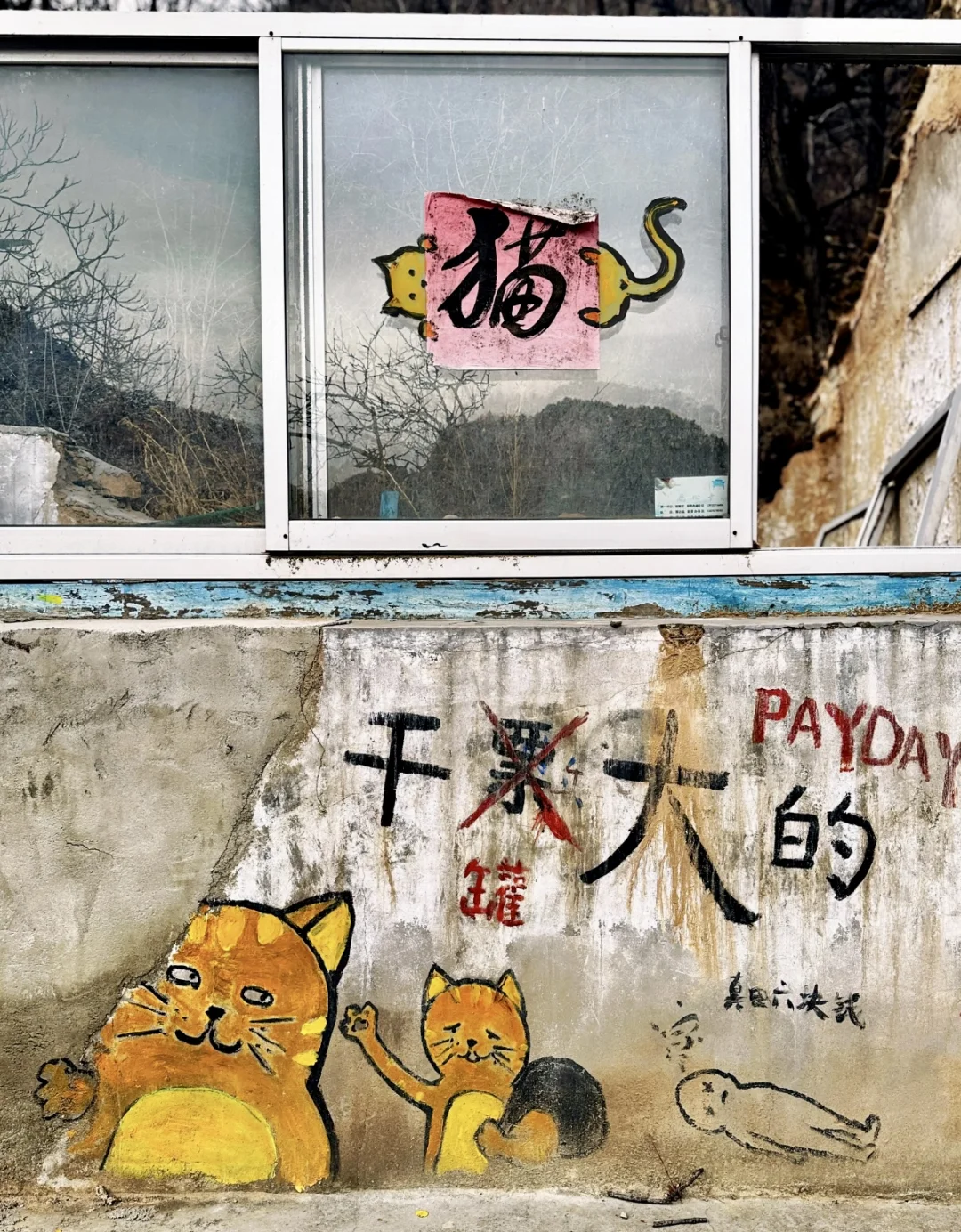 保定 | 阜平猫村「到有猫的地方去」🐱