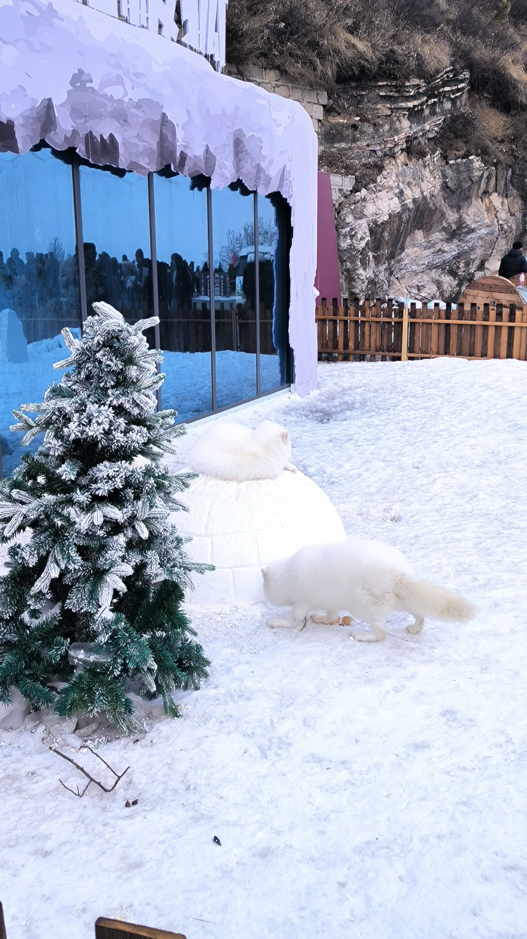 保定|白石山门票免费!