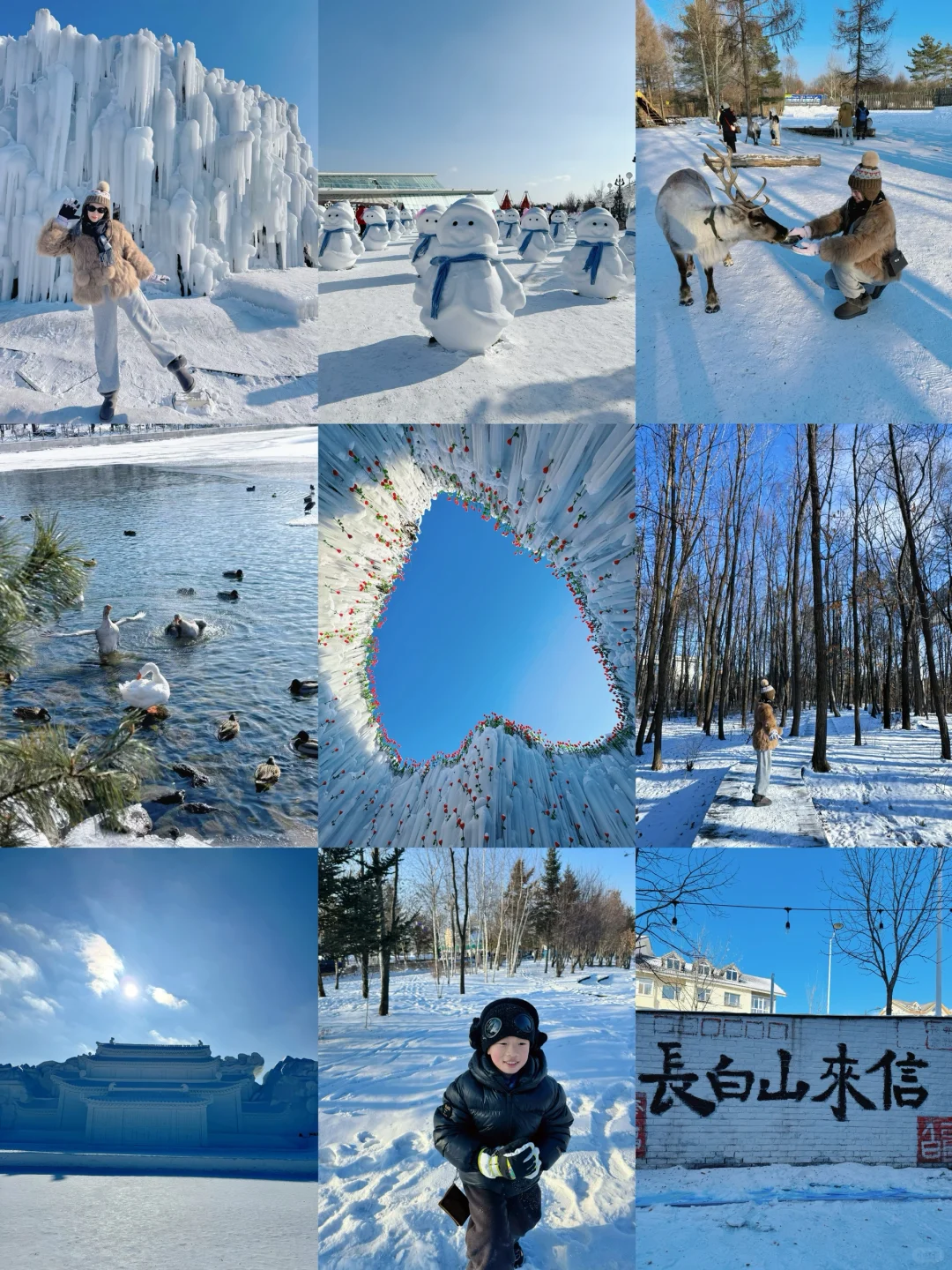 长白山大惊喜❗️二道白河镇免费景点一日游❗️