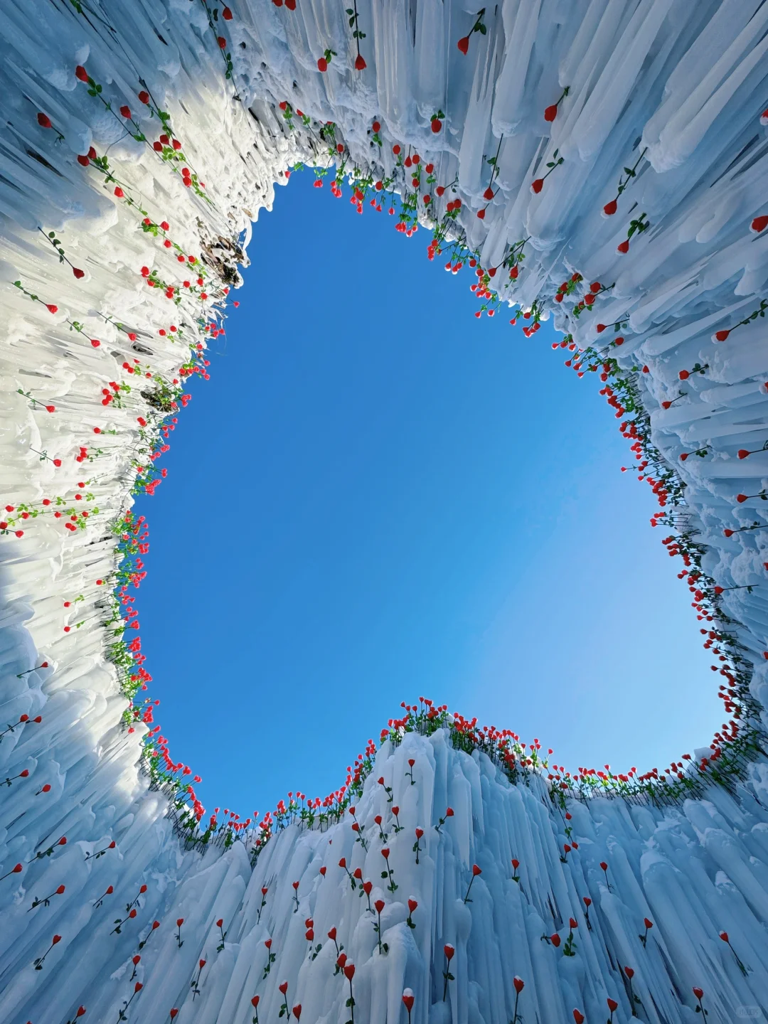 长白山大惊喜❗️二道白河镇免费景点一日游❗️