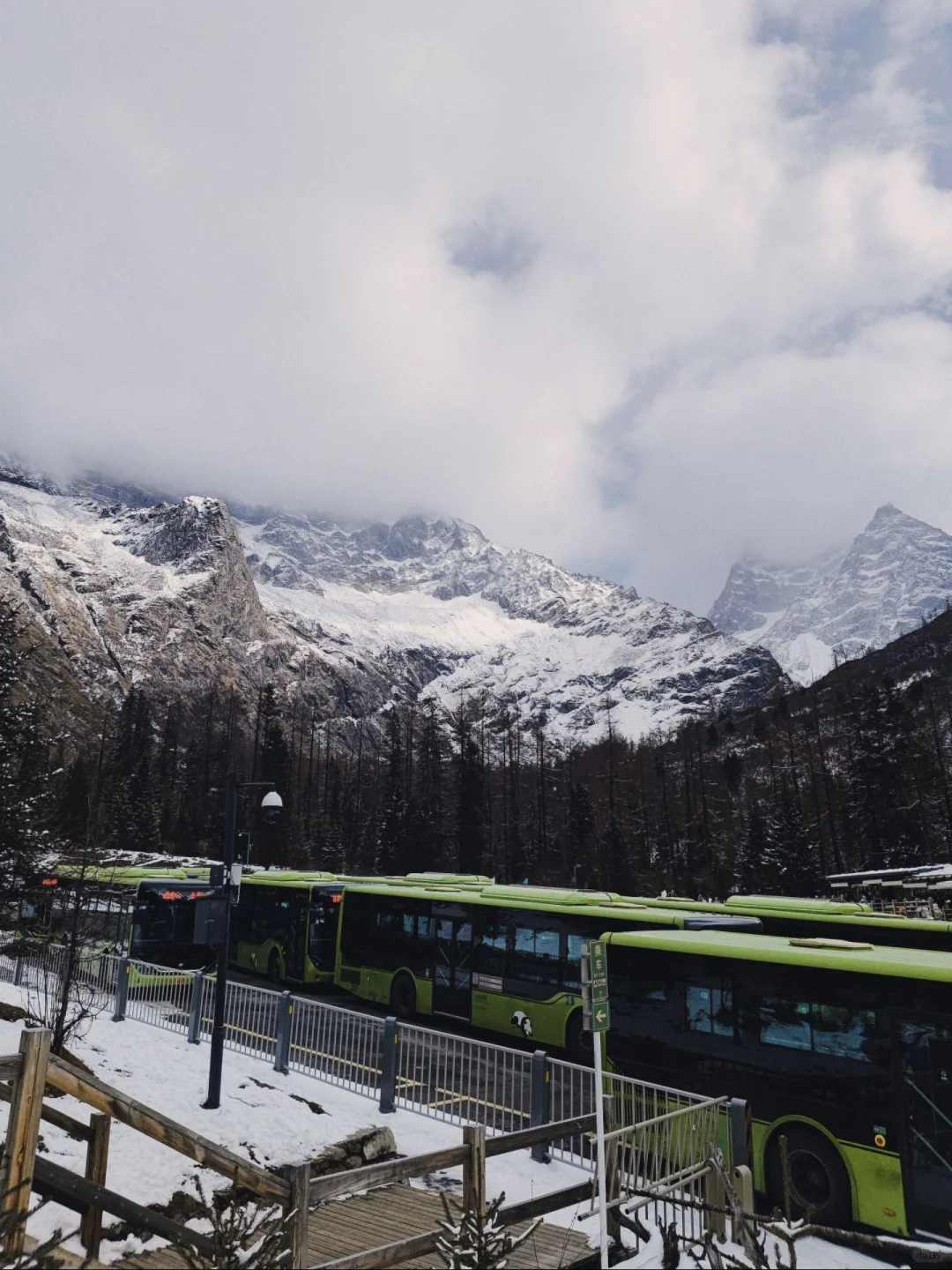 川西会惩罚每个不做攻略的人🥶🥶🥶