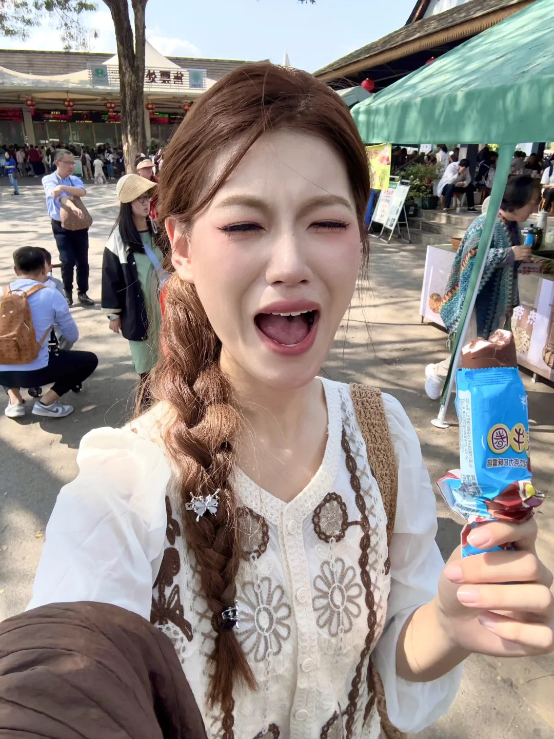 去西双版纳玩了一圈