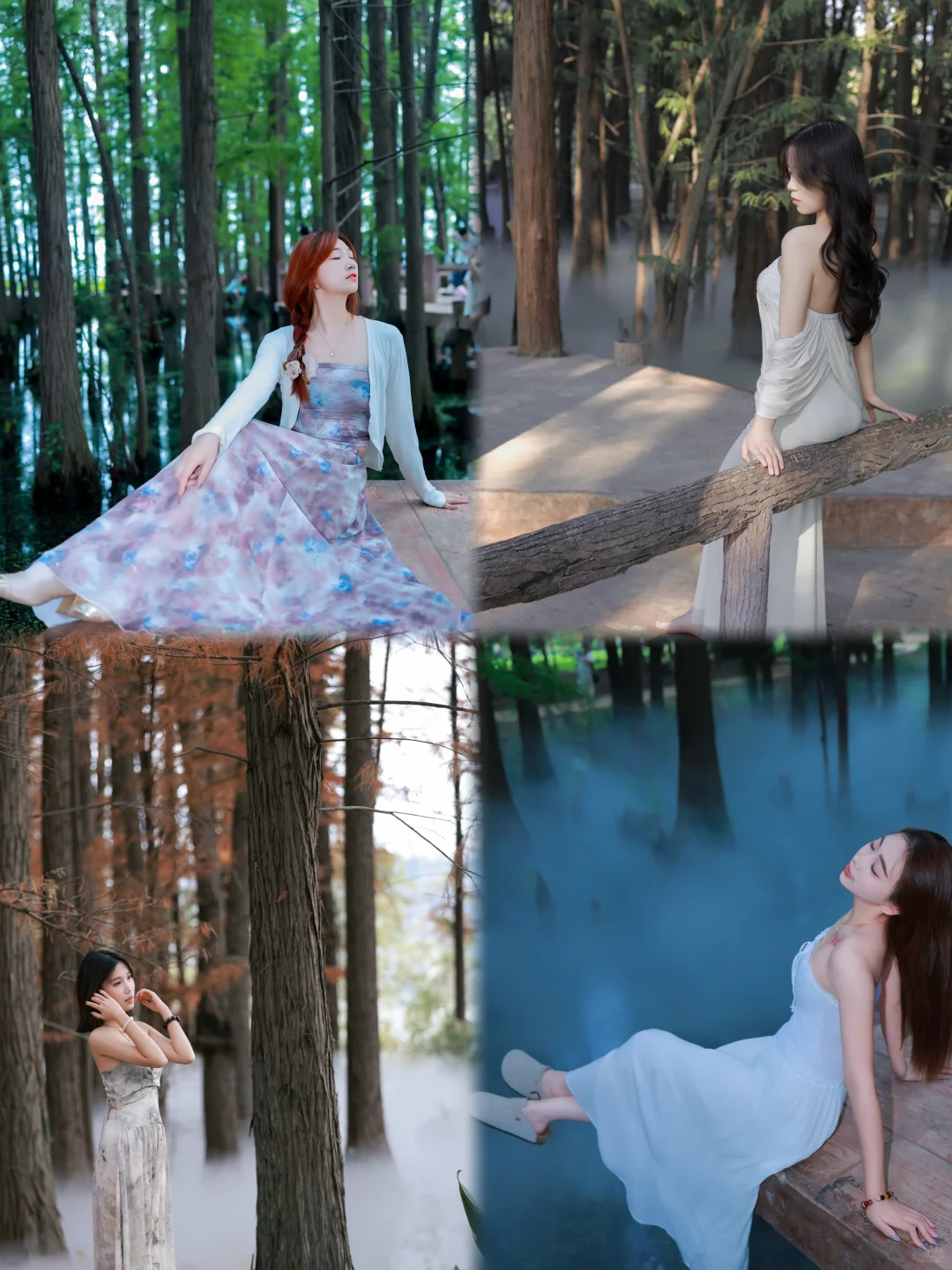 开工大吉 / 东湖落雁景区