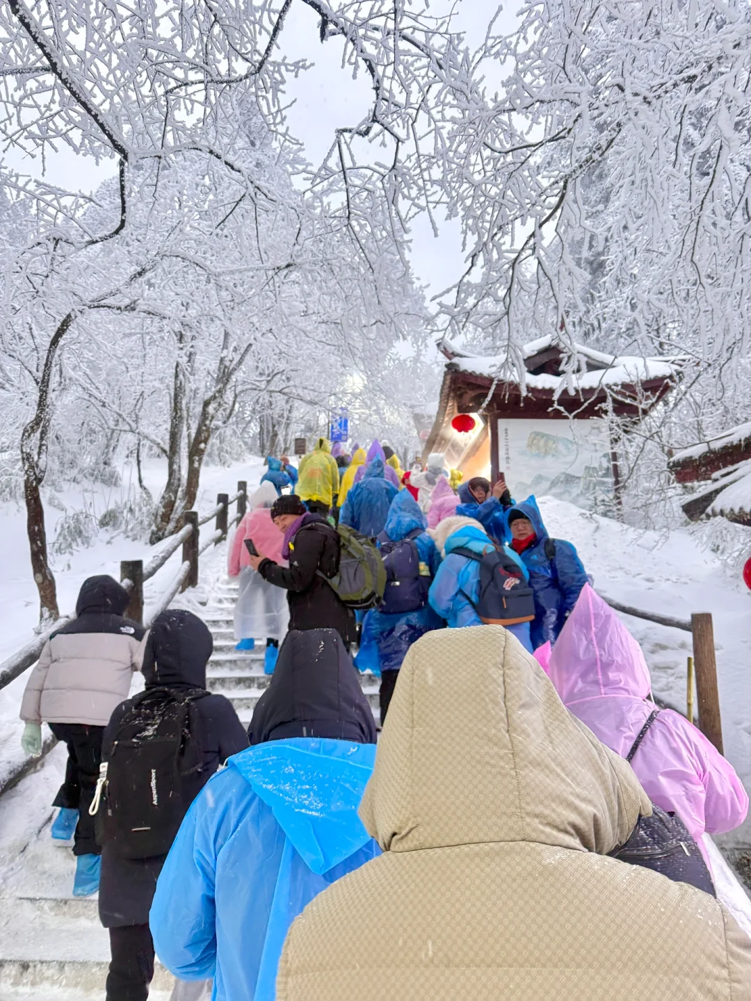 2月3日初六峨眉山避雷……