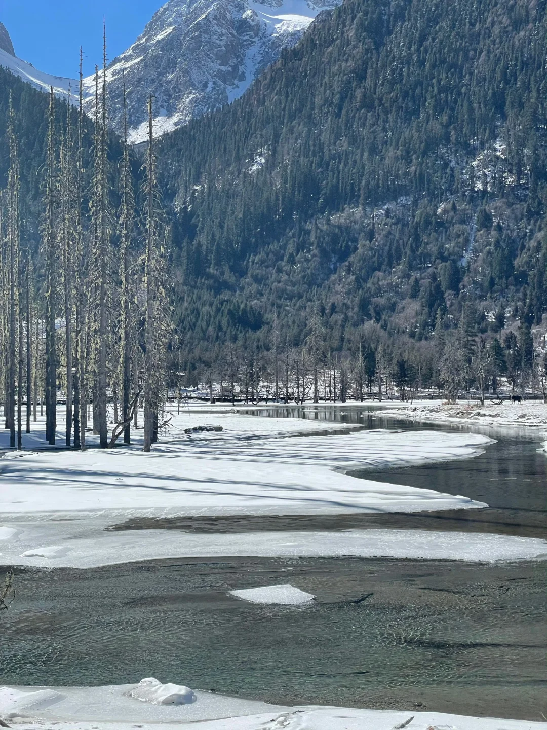 2.5📍四姑娘山已回，真心提醒还未出行的😅……