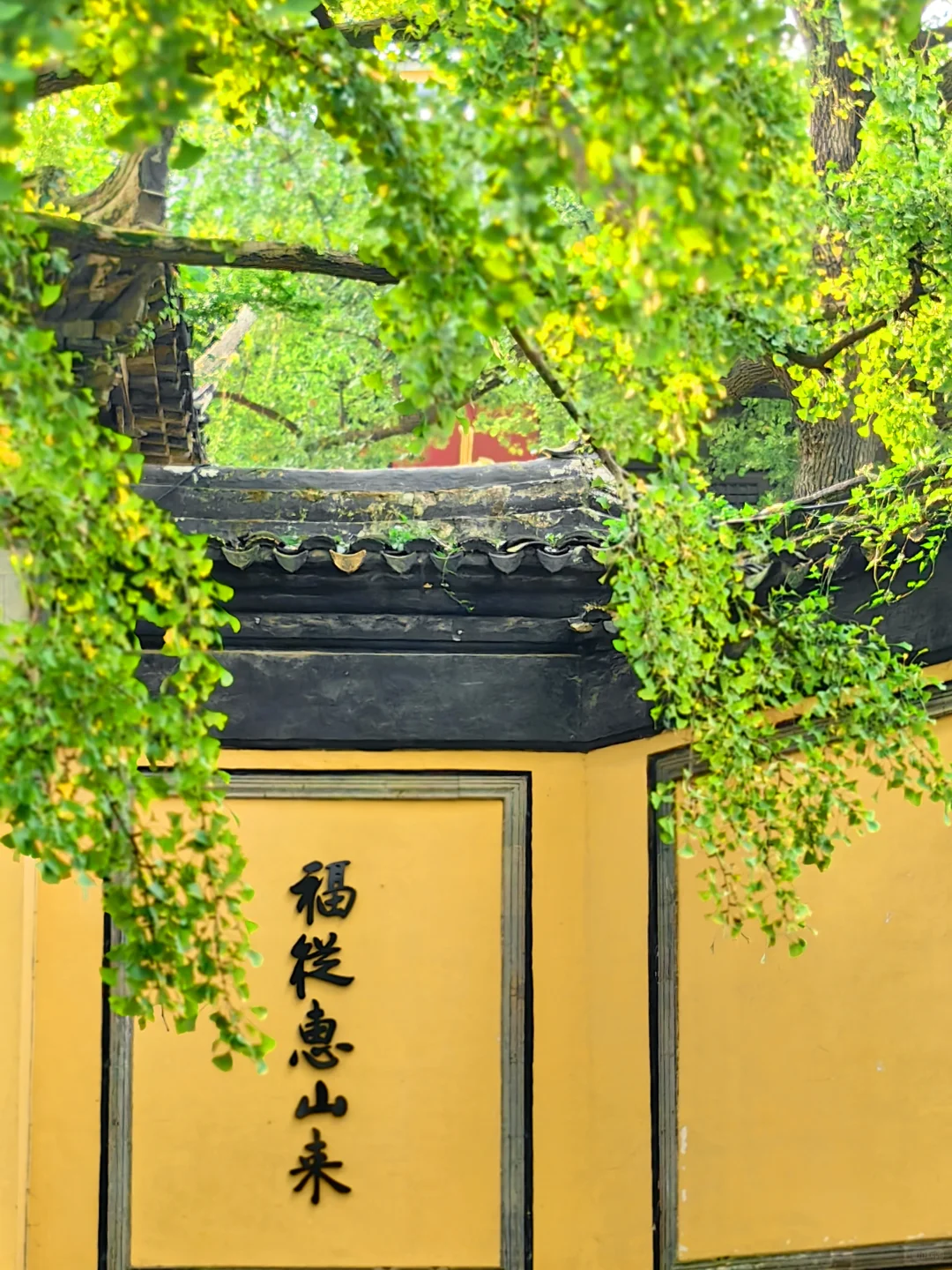 江南水乡灯火阑珊💙春晚会场无锡3日攻略