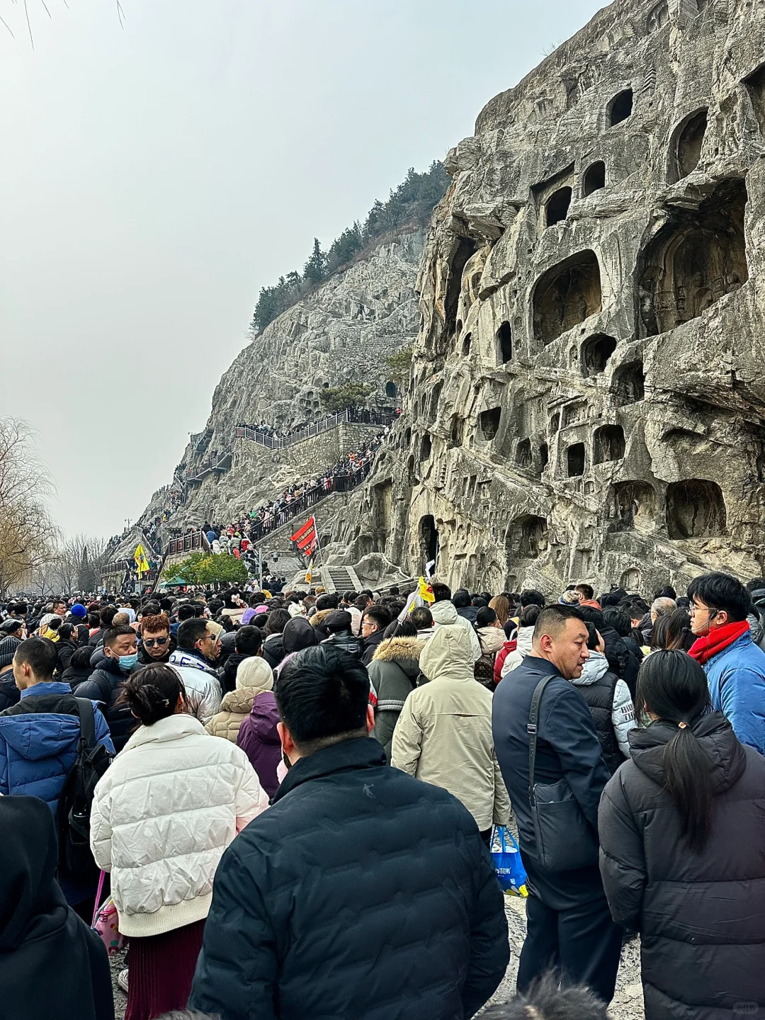 1.31日大年初三龙门石窟实况！劝退！！