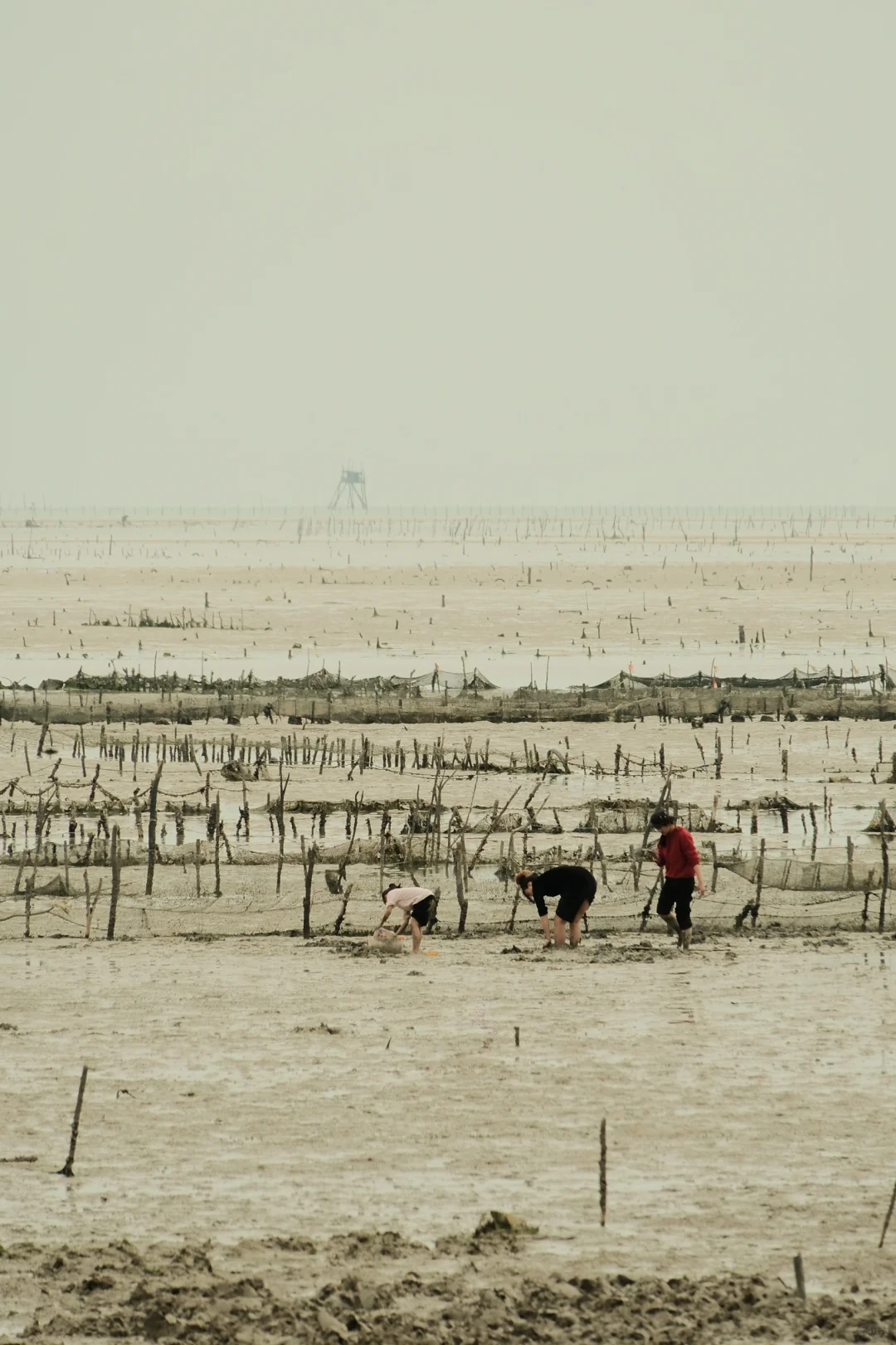 北海青山头景区
