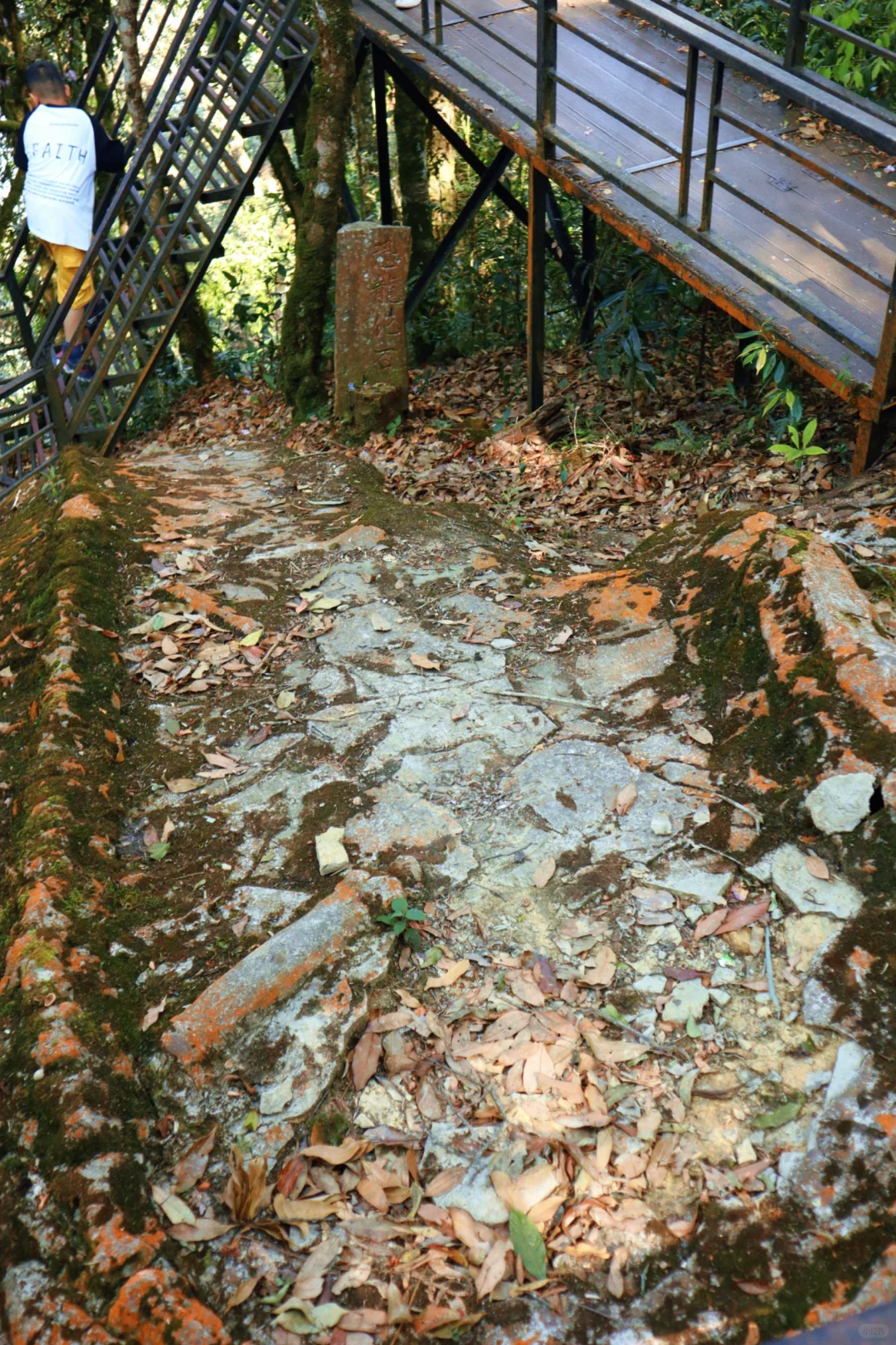 🚪云南屏边:一道被隐藏的自然奇观之门