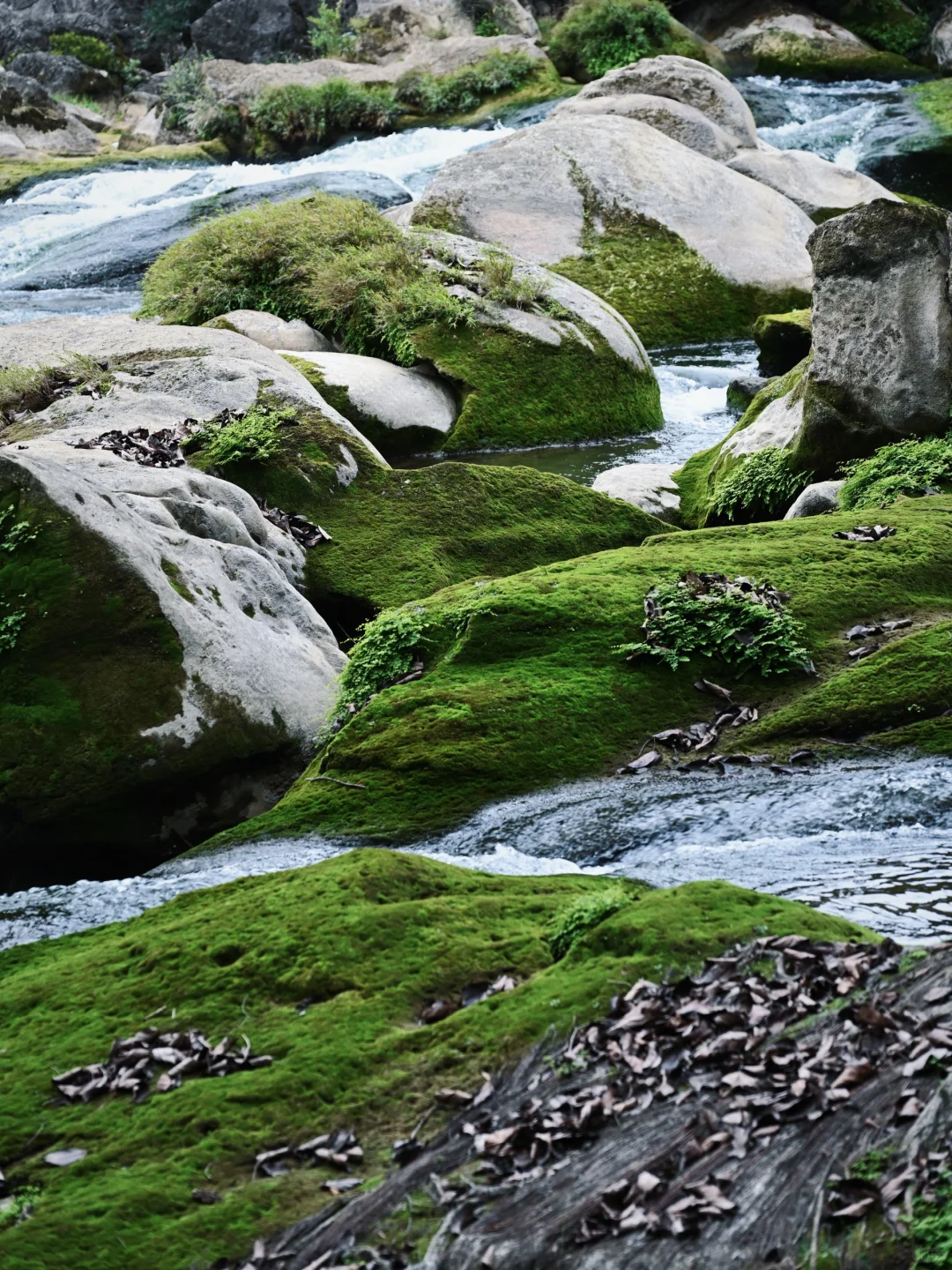 贵州•黄果树瀑布，会惩罚每一个不做攻略的人