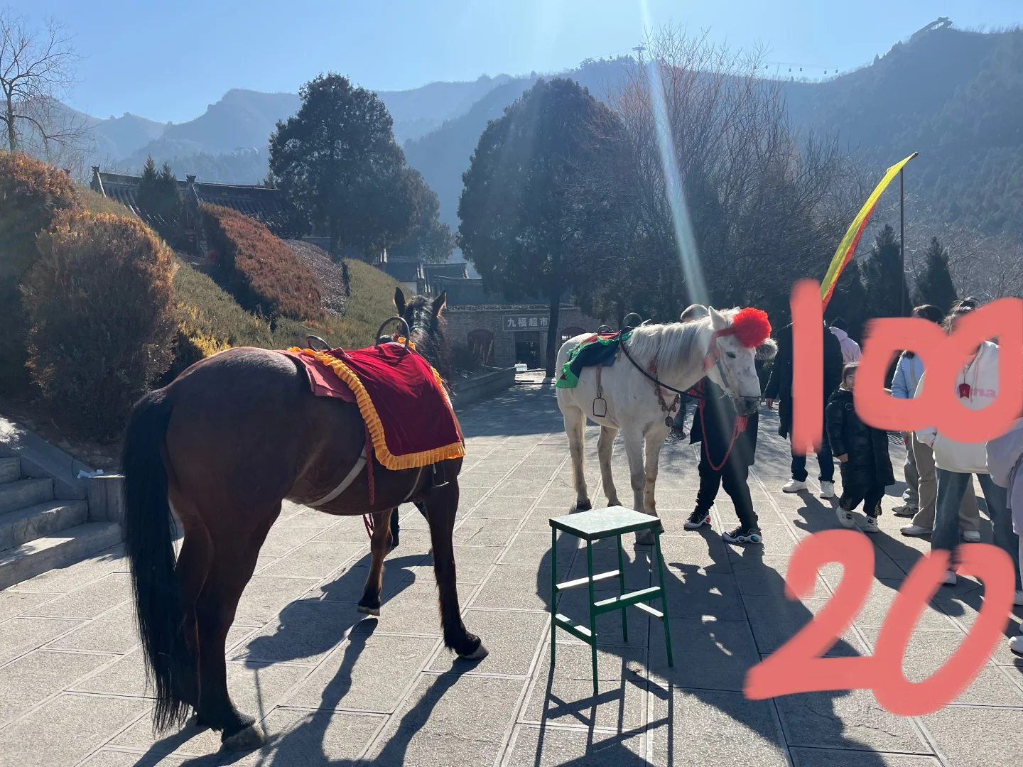 免费搭车去娲皇宫😏