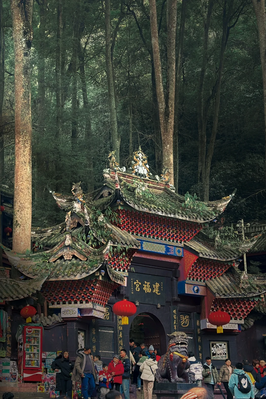 春节青城山前山 已累趴