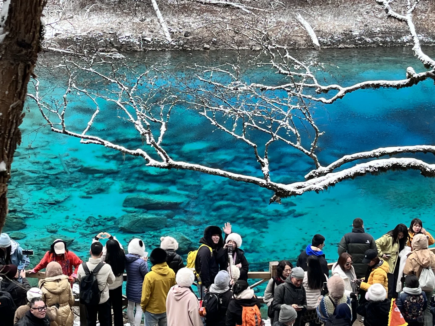 2.3📍九寨沟实况现状，已踩雷😭建议听劝...