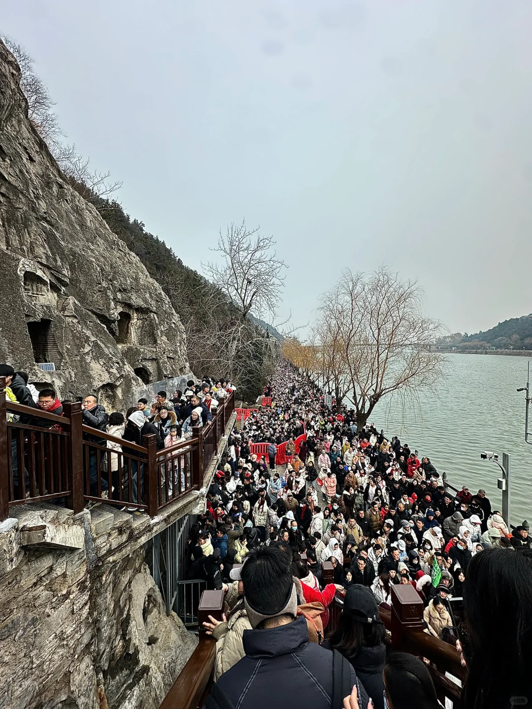 1.31日大年初三龙门石窟实况！劝退！！