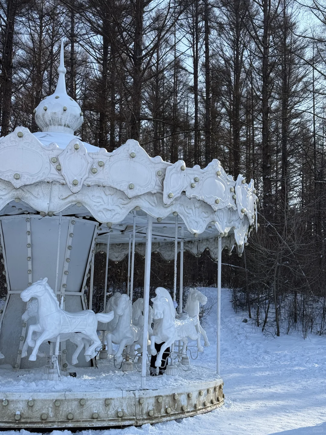 净月潭2025冬季最新游玩攻略❗️