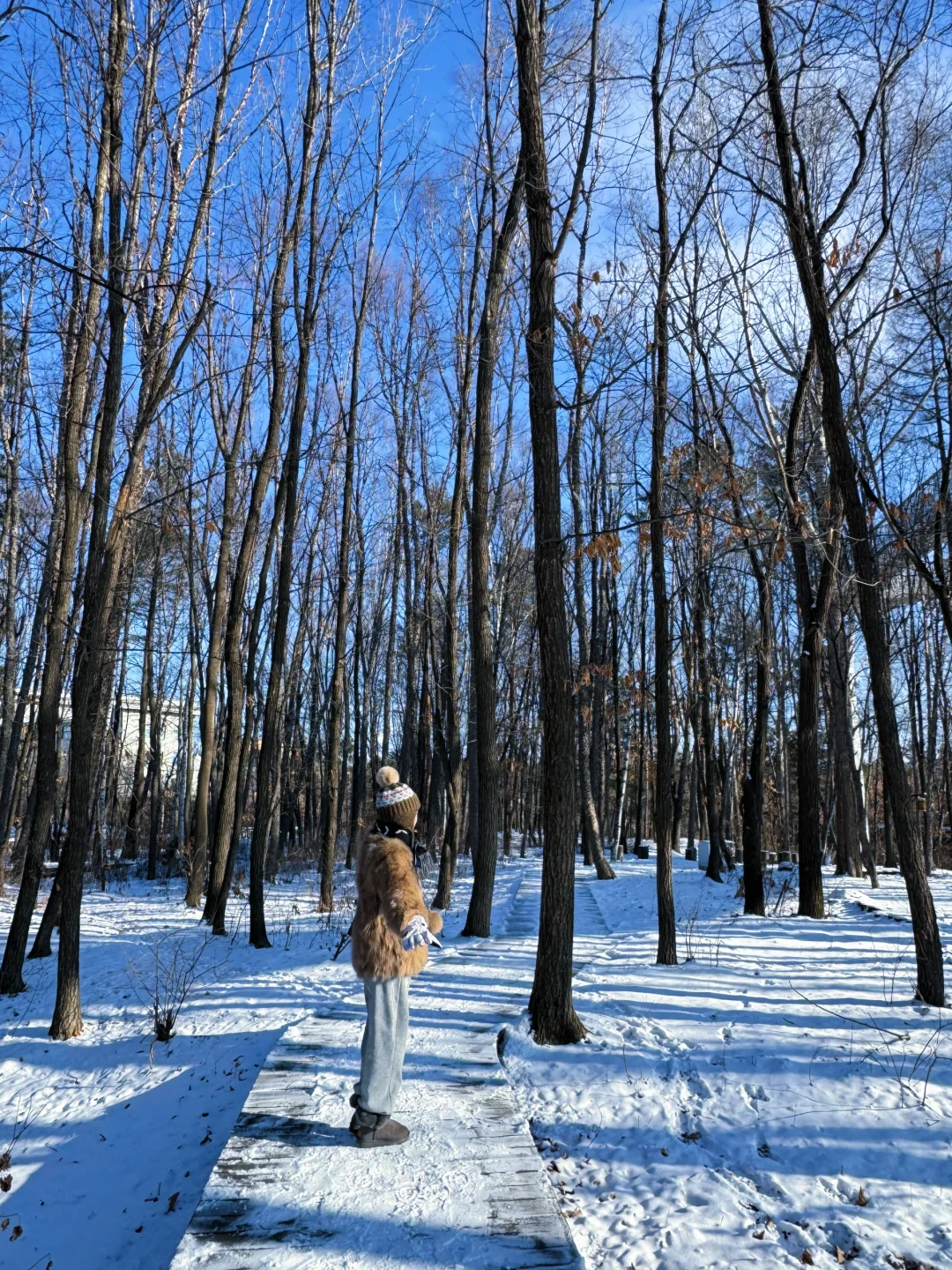 长白山大惊喜❗️二道白河镇免费景点一日游❗️