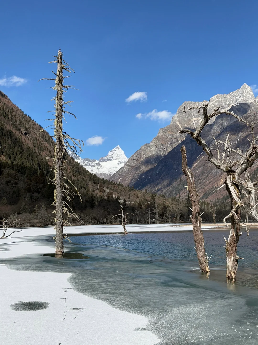 2.5📍四姑娘山已回，真心提醒还未出行的😅……