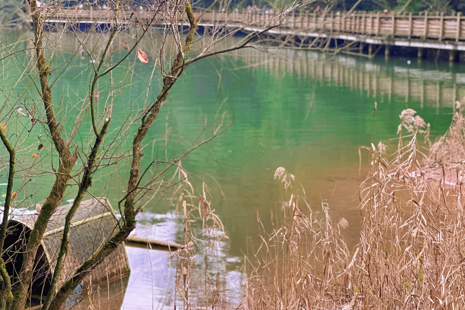 春节青城山前山 已累趴