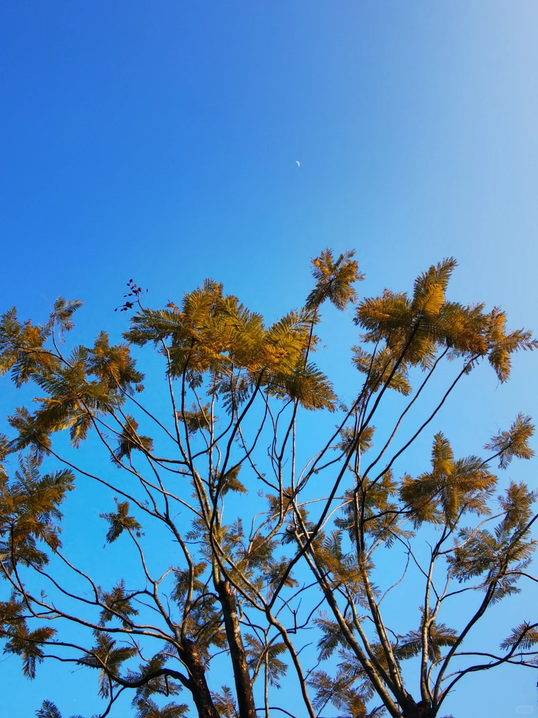 广东中山国家森林公园 — 金钟湖景区