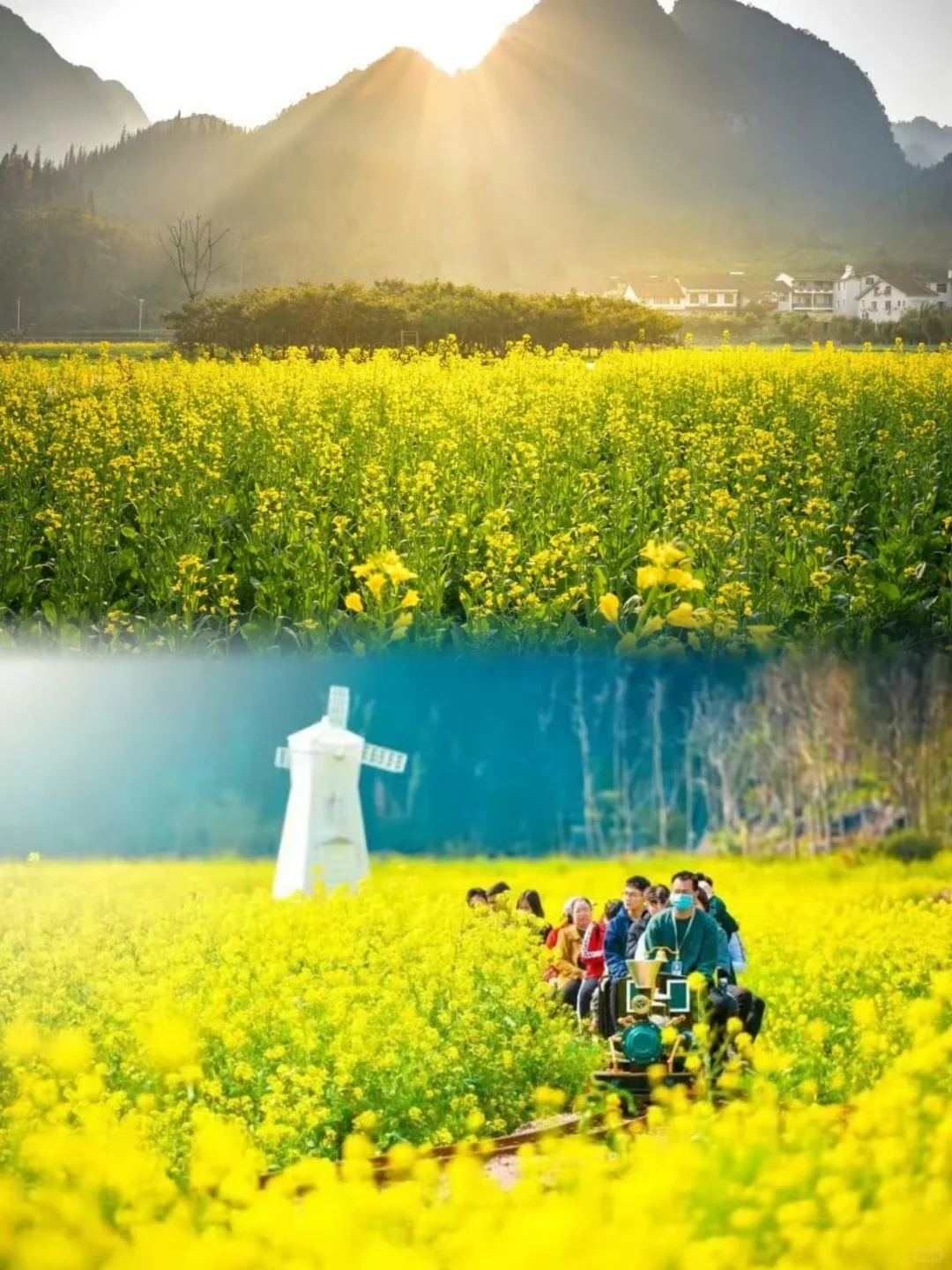 竟然有直飞！春节赏花，我推荐来贵州万峰林