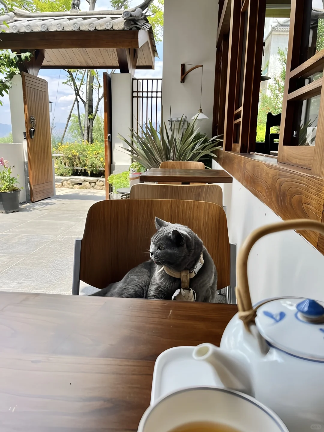 大理！洱海！独栋小院！（2.5开始空)！