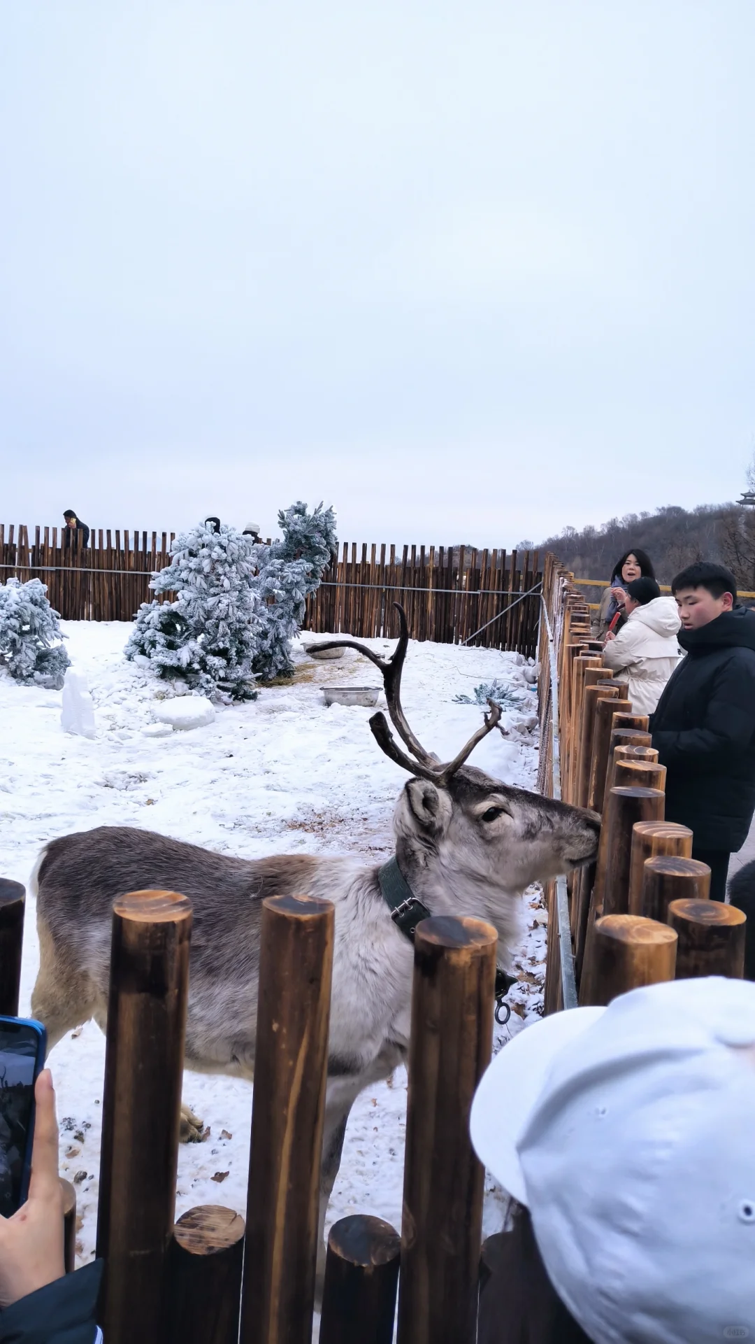 保定|白石山门票免费!
