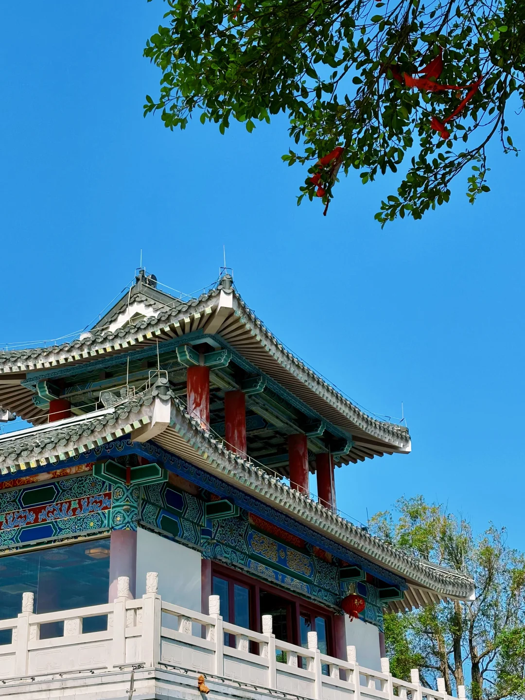 登顶高榜山 | 在人生的道路上，要向前向前！