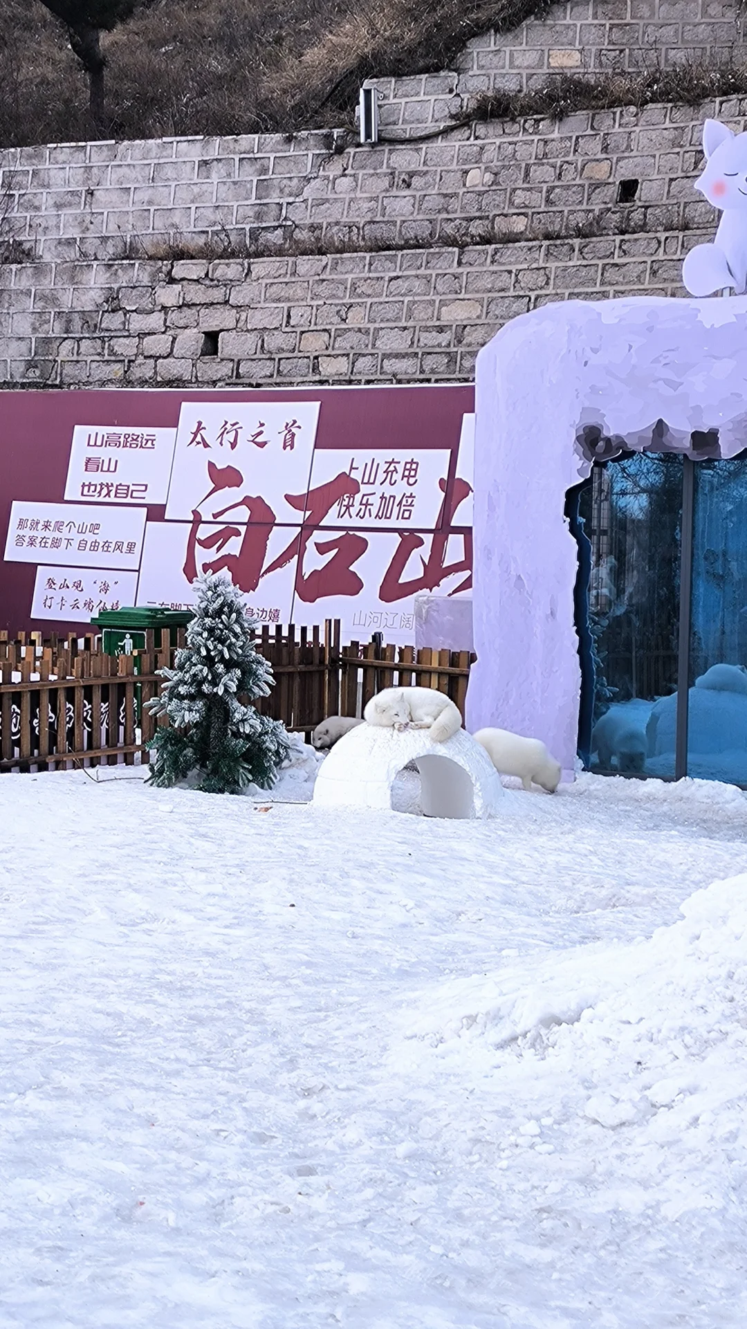 保定|白石山门票免费!