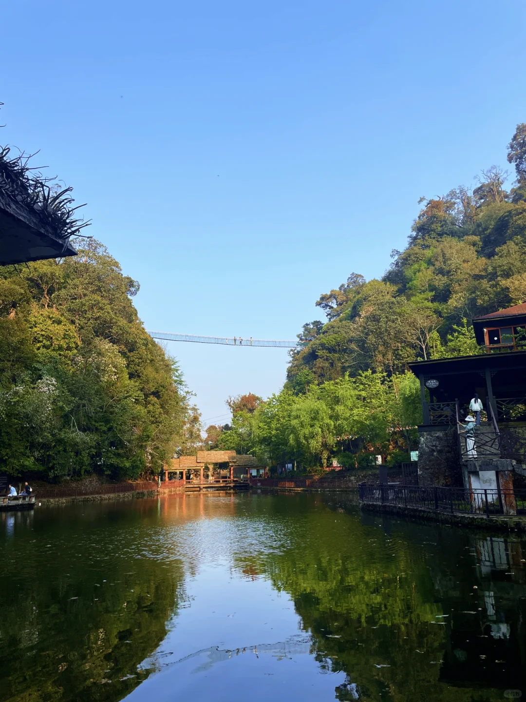 🚪云南屏边:一道被隐藏的自然奇观之门